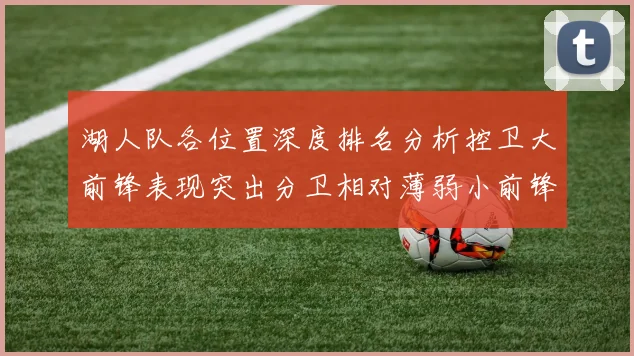 湖人队各位置深度排名分析控卫大前锋表现突出分卫相对薄弱小前锋与中锋处于中游水平
