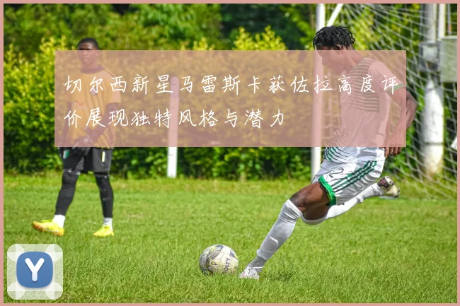 切尔西新星马雷斯卡获佐拉高度评价展现独特风格与潜力