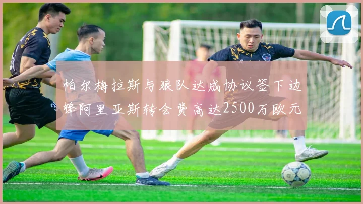 帕尔梅拉斯与狼队达成协议签下边锋阿里亚斯转会费高达2500万欧元